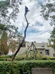  Спил дерева,  покос травы ,  расчиска вывоз мусора  Одесса 